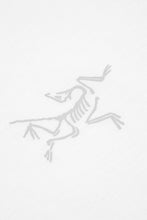 Load image into Gallery viewer, Kragg SL Cotton Tee 'White Light'