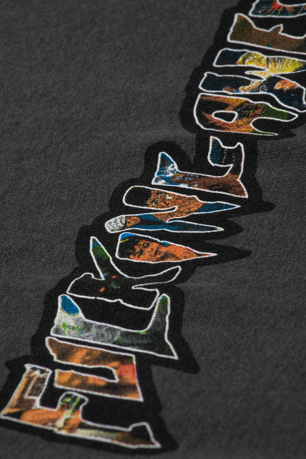 Dill Collage Logo Tee 'Pepper'