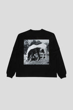 Load image into Gallery viewer, Horses Layered Long Sleeve