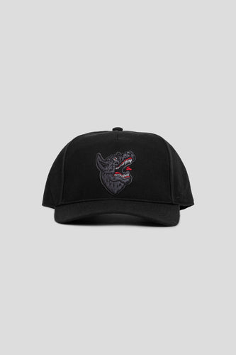 47 Souvenir Snapback