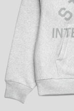 Load image into Gallery viewer, Stussy EST Printed Zip Hoodie 'Ash Heather'