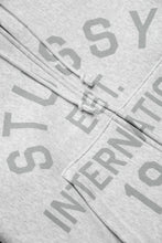 Load image into Gallery viewer, Stussy EST Printed Zip Hoodie 'Ash Heather'