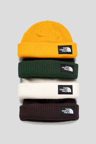 Salty Lined Beanie