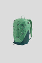 Load image into Gallery viewer, Borealis Trail Backpack 'Dimmed Algae / Hunter Green'