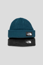 Load image into Gallery viewer, Salty Lined Beanie