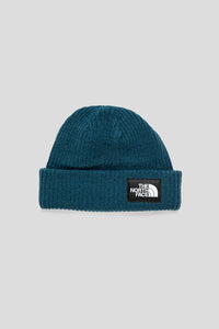 Salty Lined Beanie