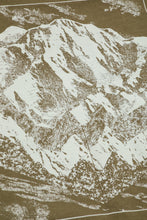 Load image into Gallery viewer, Places We Love - Denali Tee 'Cedar'